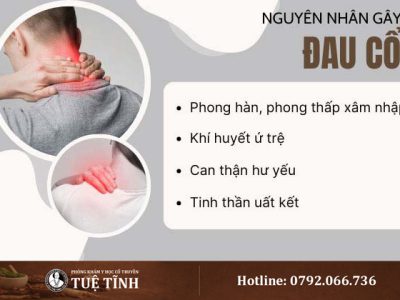 nguyen-nhan-dau-co-0