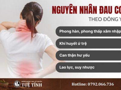 nguyen-nhan-dau-co