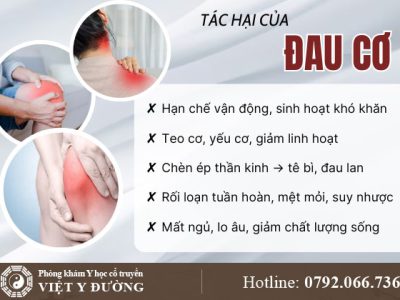 tac-hai-dau-co