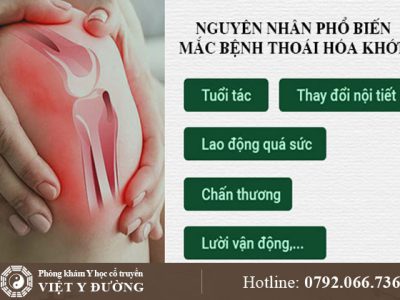 thoai-hoa-khop