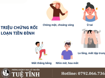 tiền đình (8)