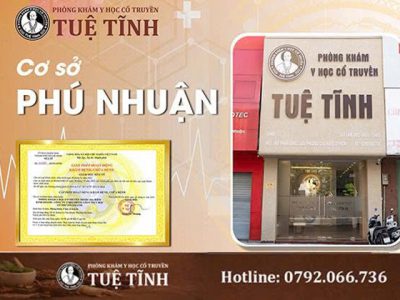 tuệ tĩnh 2